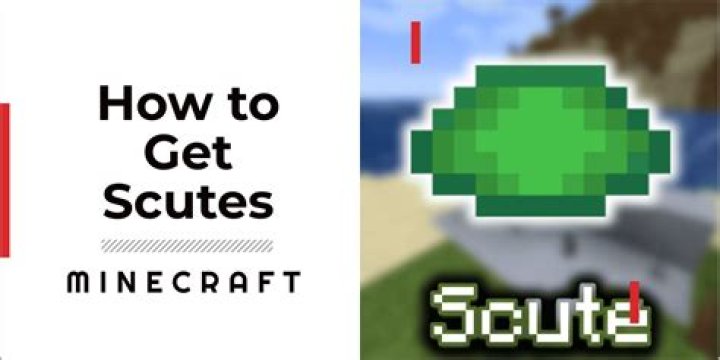 Minecraft how to get scutes