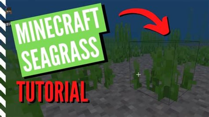 Minecraft how to get seagrass