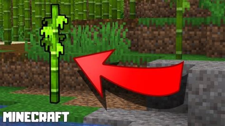 Minecraft how to grow bamboo