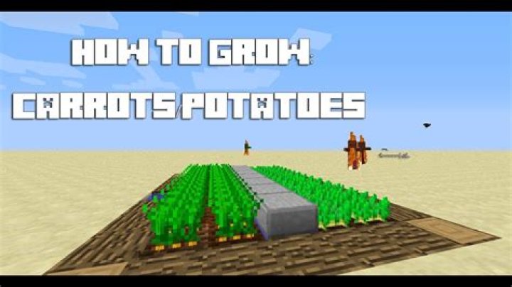 Minecraft how to grow carrots