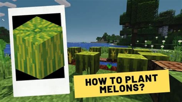 Minecraft how to grow melons