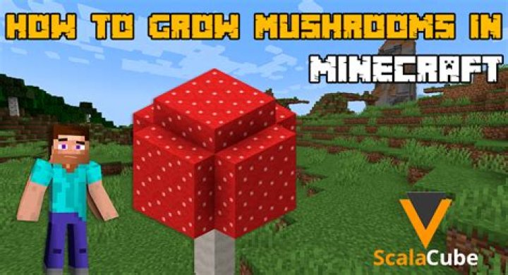 Minecraft how to grow mushroom