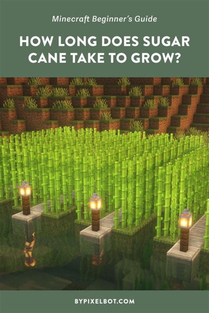 Minecraft how to grow sugar cane
