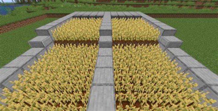 Minecraft how to harvest wheat