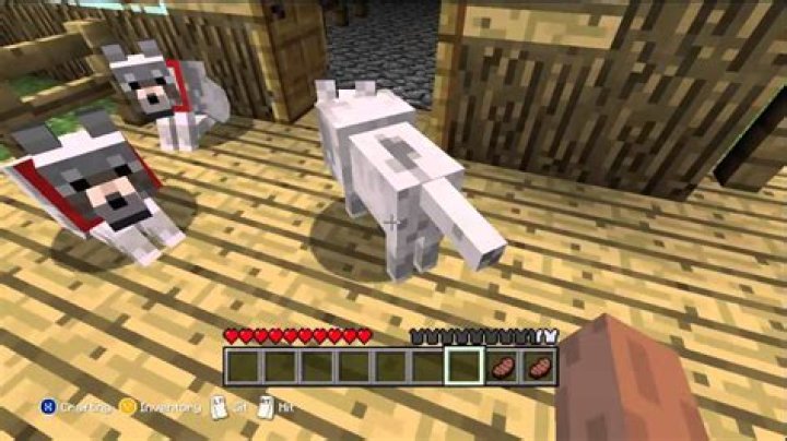 Minecraft how to heal dogs