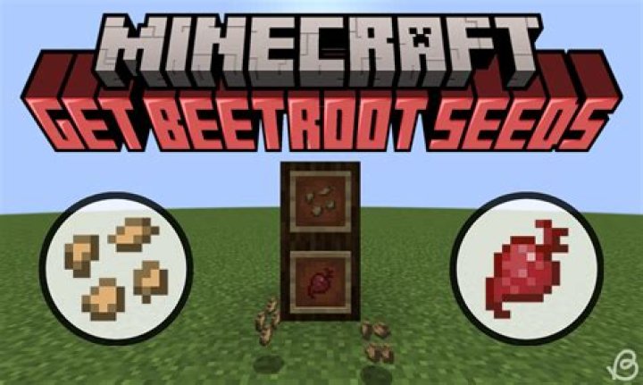Minecraft how to make beetroot stew
