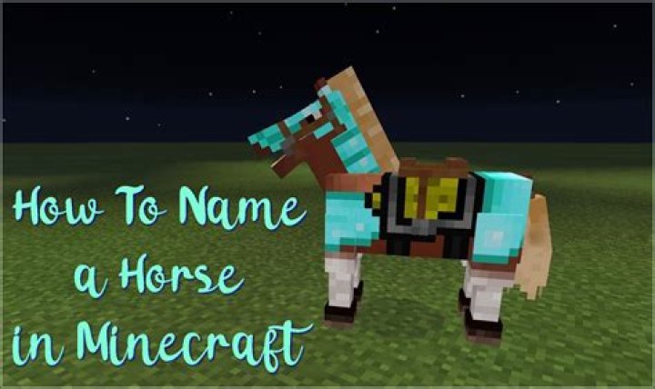 Minecraft how to name horse