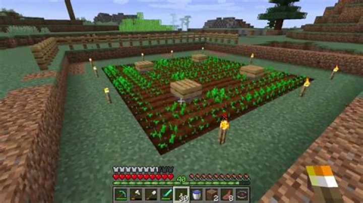 Minecraft how to plant wheat