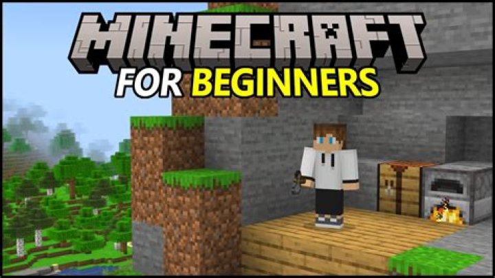 Minecraft how to play