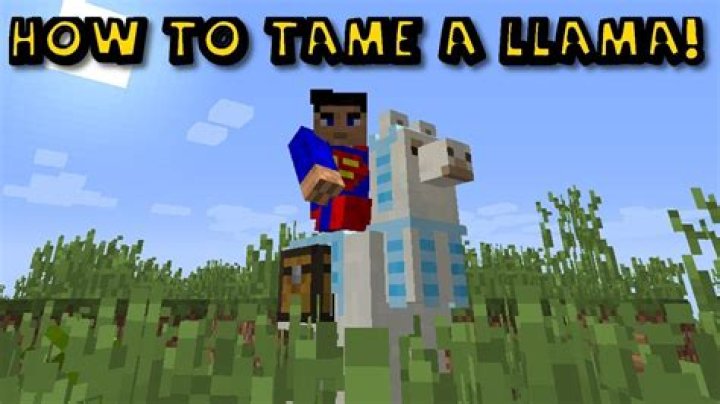 Minecraft how to ride llama
