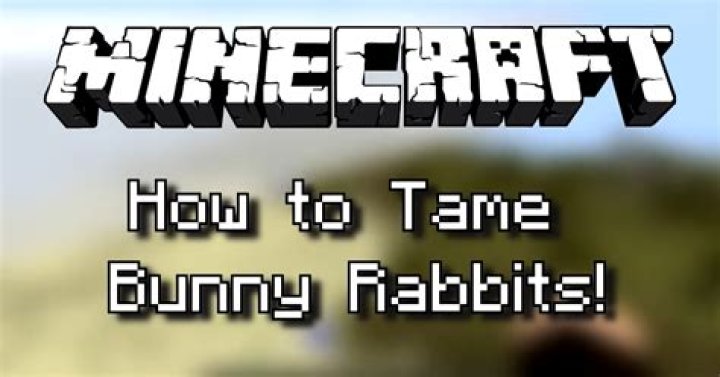 Minecraft how to tame bunnies