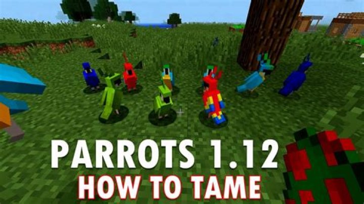 Minecraft how to tame parrot