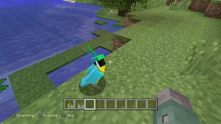 Minecraft how to tame parrots