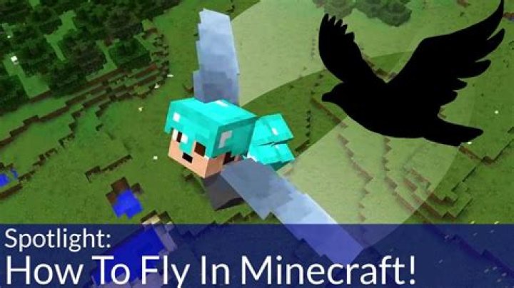 Minecraft how to use wings