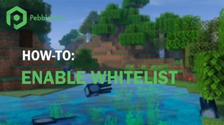 Minecraft how to whitelist players