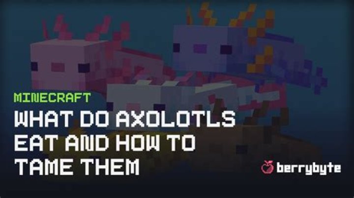 Minecraft what do axolotls eat