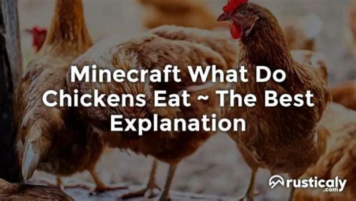 Minecraft what do chickens eat