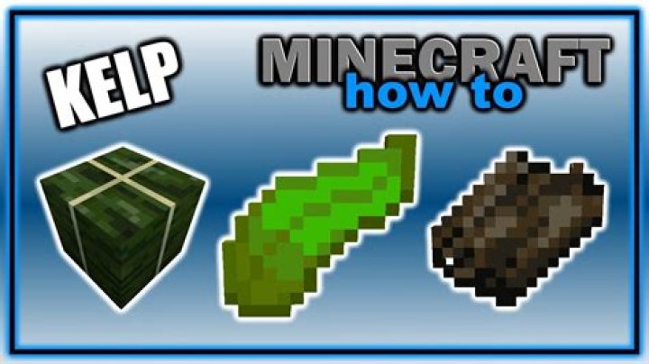 Minecraft what does kelp do