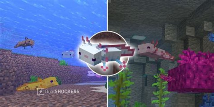 Minecraft where to find axolotl