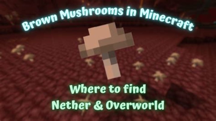 Minecraft where to find brown mushrooms