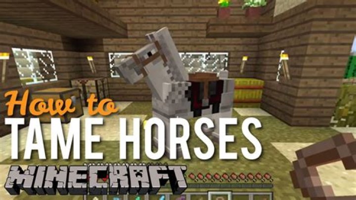 Minecraft xbox one how to tame a horse