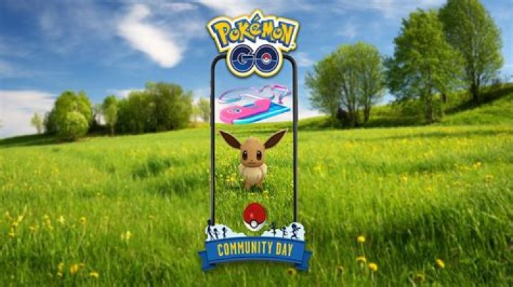Pokemon go what you choose to be rewards