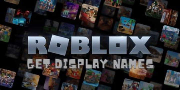 Roblox how to get display names