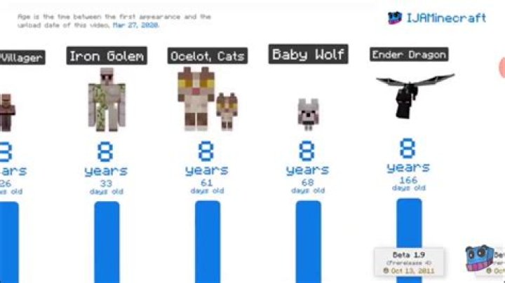 What age is minecraft for