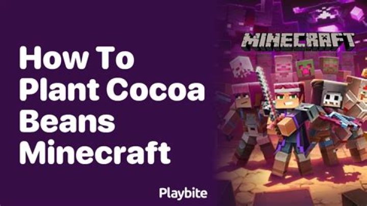 What are cocoa beans used for in minecraft