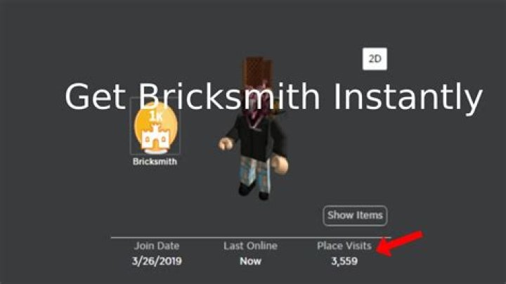 What are place visits in roblox