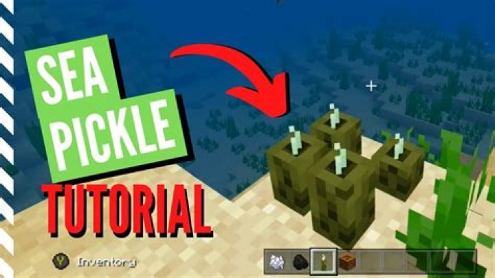 What are sea pickles used for in minecraft
