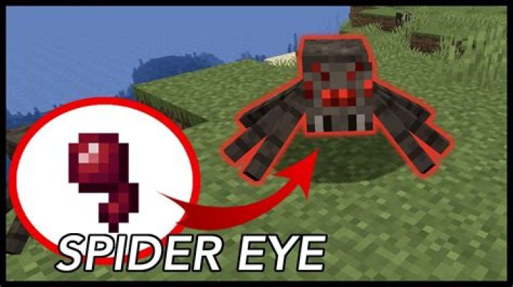 What are spider eyes used for in minecraft