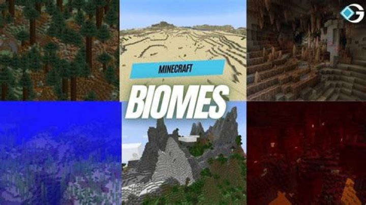 What are the minecraft biomes