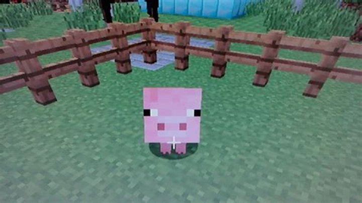What attracts pigs in minecraft