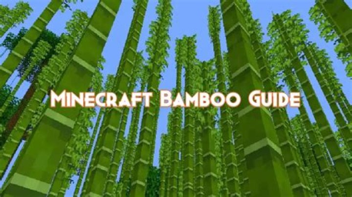 What can you do with bamboo in minecraft