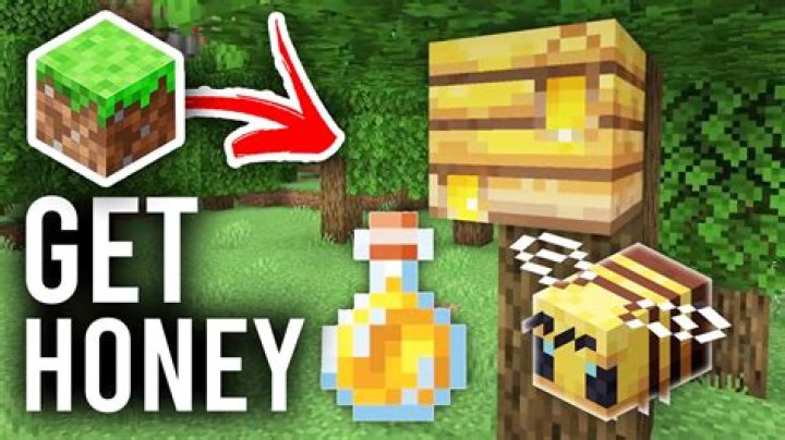 What can you do with honey in minecraft