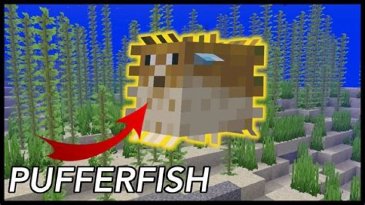 What can you do with pufferfish in minecraft