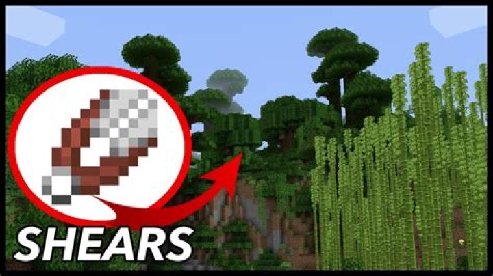 What can you do with shears in minecraft