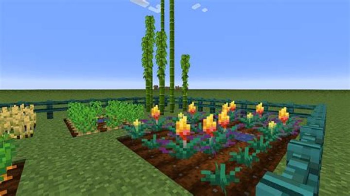 What can you grow in minecraft