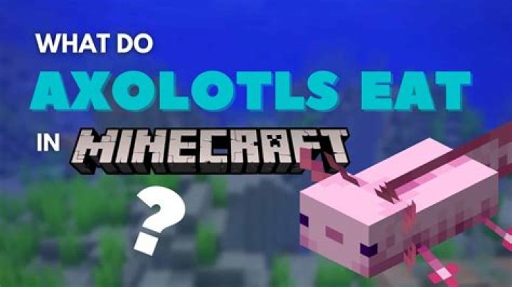 What do axolotl eat in minecraft