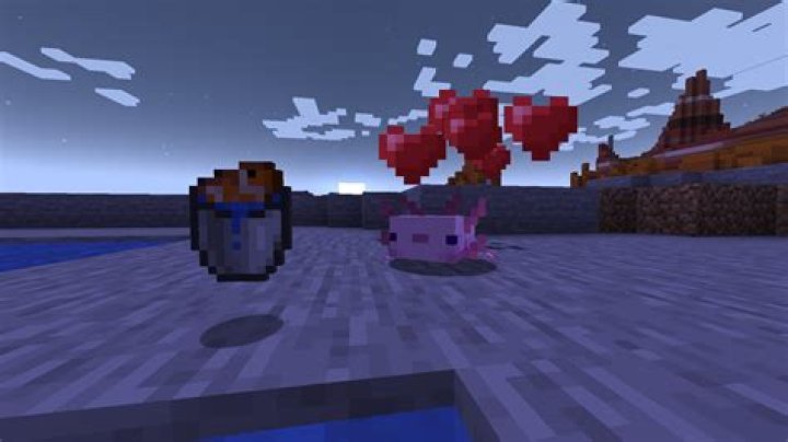 What do axolotls in minecraft eat