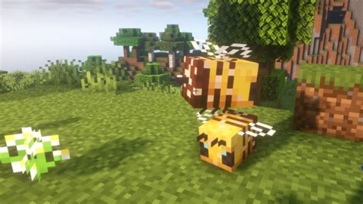 What do bees eat in minecraft
