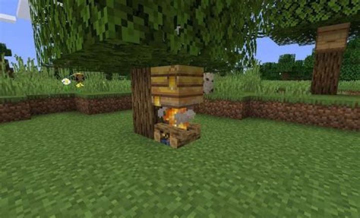 What do campfires do in minecraft