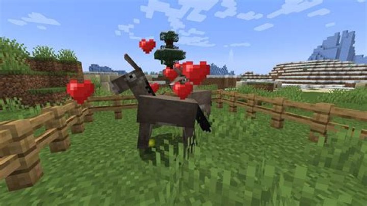 What do donkeys eat in minecraft
