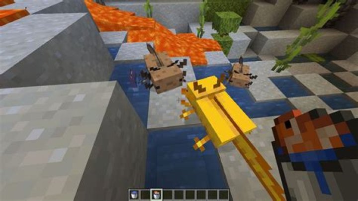 What do fish eat in minecraft