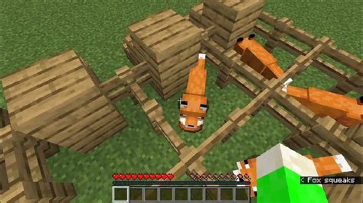 What do foxes like to eat in minecraft