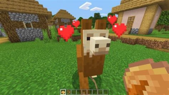 What do llamas eat in minecraft