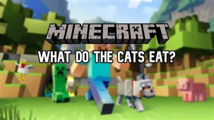 What do minecraft cats eat