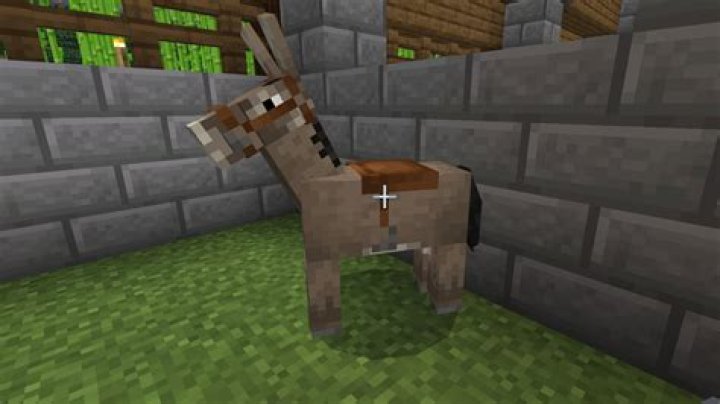 What do minecraft donkeys eat