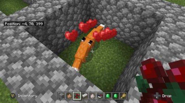 What do minecraft foxes eat